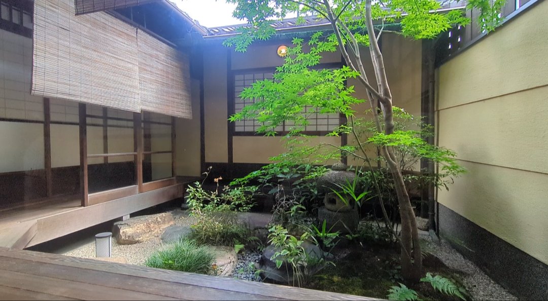 A small courtyard garden